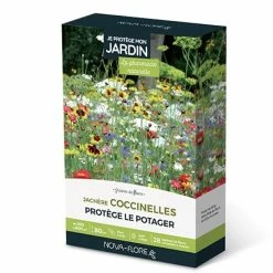 JachÃ¨re Coccinelles