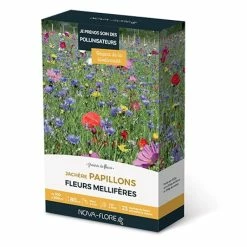 JachÃ¨re Papillons