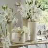 Collection Bulbes Pour Bouquets Modernes Blancs -Jardin De Fleurs Magasin Collection bulbes pour bouquets modernes blancs 18974 1