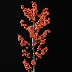 Houx VerticillÃ© Femelle Magical Daydream - Ilex Verticillata