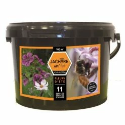 JachÃ¨re MellifÃ¨re Fleurs D'Ã©tÃ©