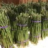 Asperge Verte Rambo - Asparagus Officinalis -Jardin De Fleurs Magasin asparagus officinalis rambo 16300 1