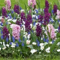 Collection Balade ParfumÃ©e