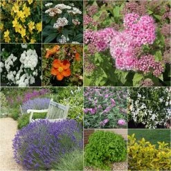 Kit Haie Basse Ã©co