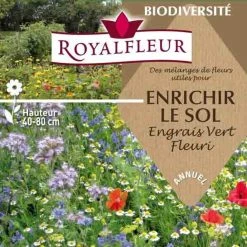 MÃ©lange Pour Enrichir Le Sol (engrais Vert Fleuri) - Boite 100m2